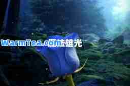 魔法雄光