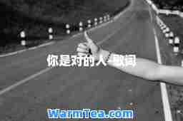 你是对的人-歌词