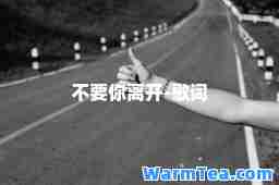 不要你离开-歌词