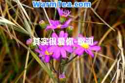 其实很爱你-歌词