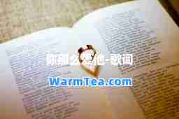 你那么爱他-歌词