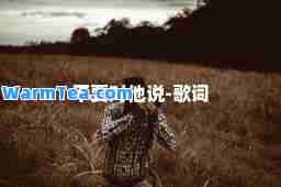 不要对他说-歌词