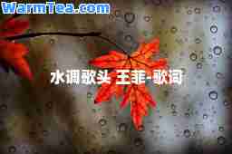 水调歌头 王菲-歌词
