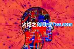 火炬之光 洗点