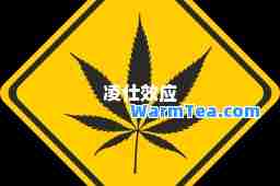 凌仕效应