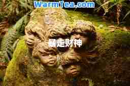 暴走财