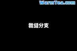 裁缝分支