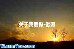 关于我爱你-歌词