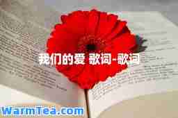 我们的爱 歌词-歌词