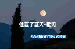 他夏了夏天-歌词
