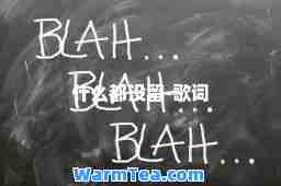 什么都没留-歌词