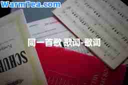 同一首歌 歌词-歌词
