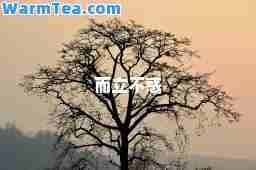 而立不惑