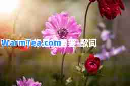 你是我老婆-歌词