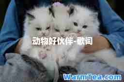 动物好-歌词