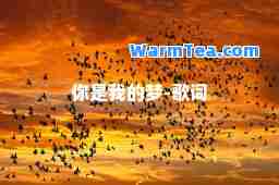 你是我的梦-歌词