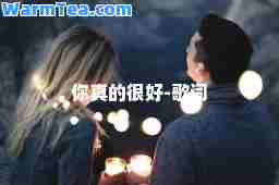 你真的很好-歌词