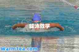 蝶泳教学