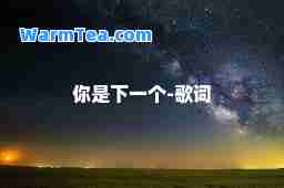 你是下一个-歌词