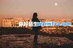 你好陌生人-歌词