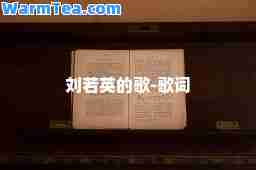 刘若英的歌-歌词