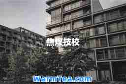 焦煤技校
