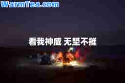 看我威 无坚不摧