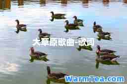 大草原歌曲-歌词