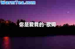 你是爱我的-歌词