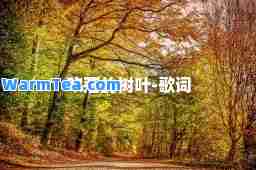 吹落的树叶-歌词