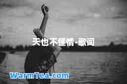 天也不懂情-歌词