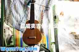 夏威夷吉他-歌词