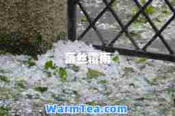 蕾丝霜雨