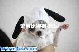 史努比狗狗-歌词