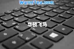 华硕飞马