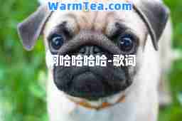 啊哈哈哈哈-歌词