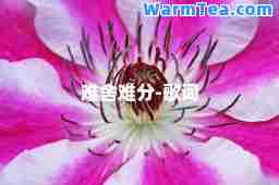 难舍难分-歌词