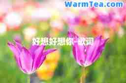 好想好想你-歌词