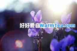 好好爱自己-歌词