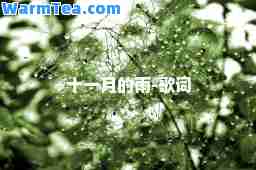 十一月的雨-歌词