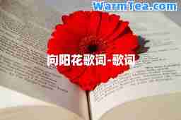 向阳花歌词-歌词