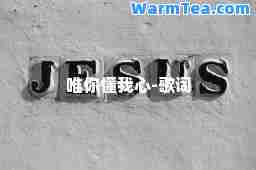 唯你懂我心-歌词