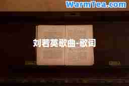 刘若英歌曲-歌词