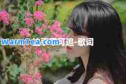 往事不可追-歌词