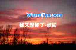 我又想你了-歌词