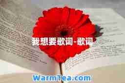 我想要歌词-歌词