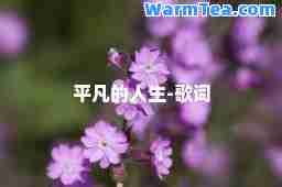平凡的人生-歌词