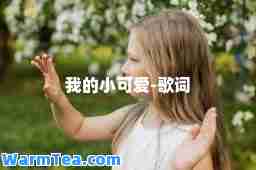 我的小可爱-歌词