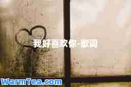 我好喜欢你-歌词
