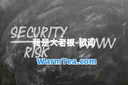 我是大老板-歌词